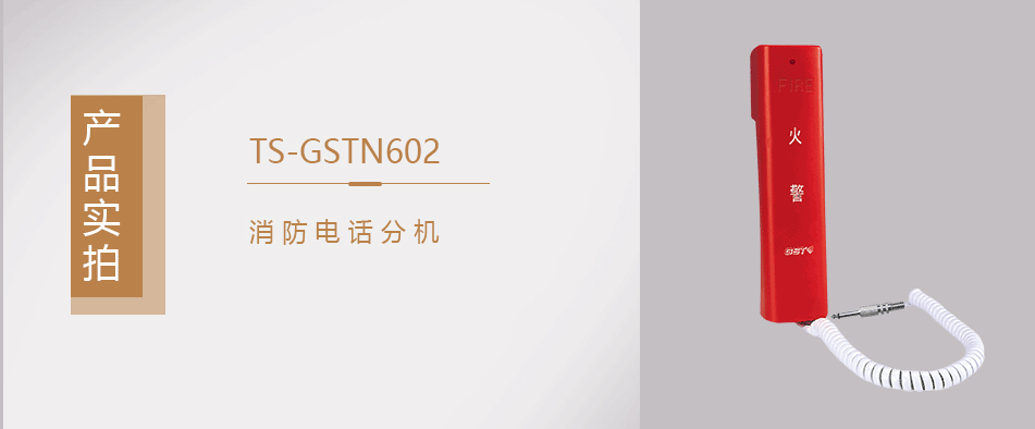 TS-GSTN602消防电话分机实拍