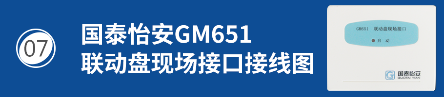 国泰怡安GM651联动盘现场接口接线