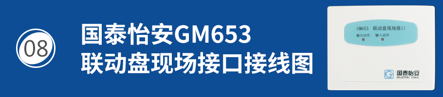 国泰怡安GM653联动盘现场接口接线