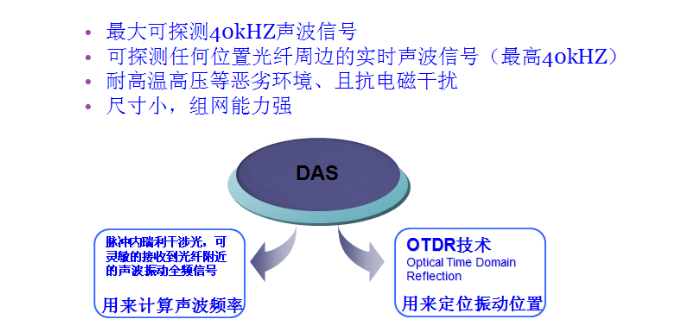 DAS技术简介