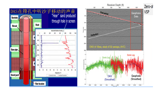 国外石油项目使用DAS检测声波振动的数据分析