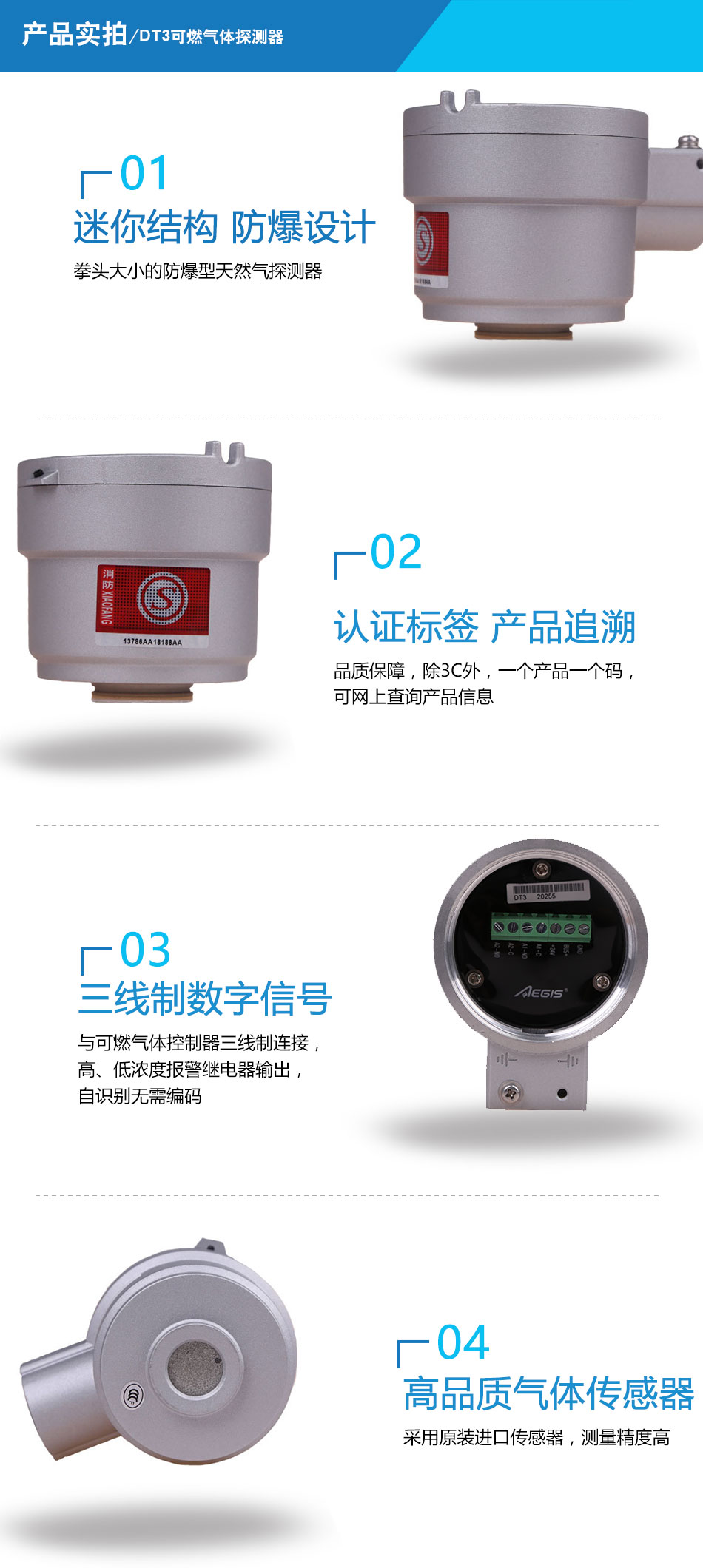 DT3可燃气体探测器