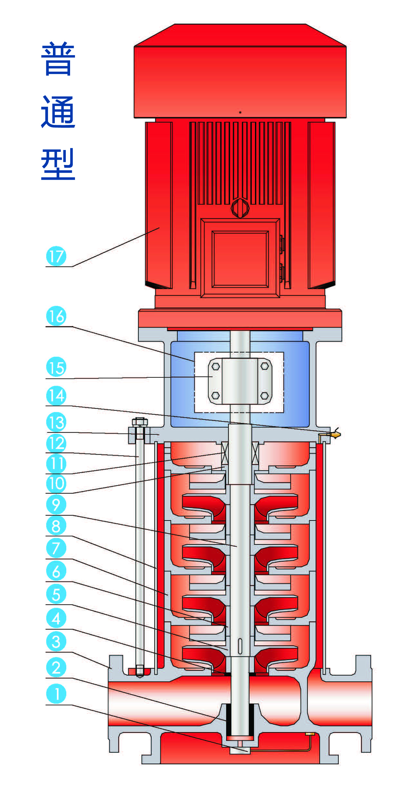 立式多级泵拆装图图片