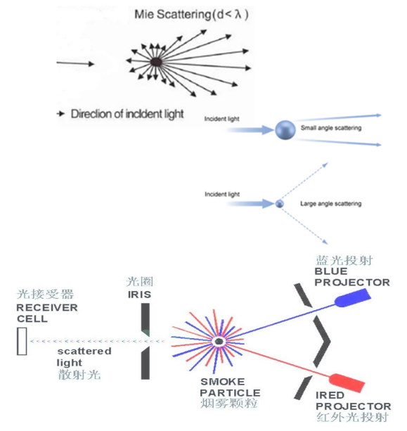 从检测走向识别：区分粒子直径