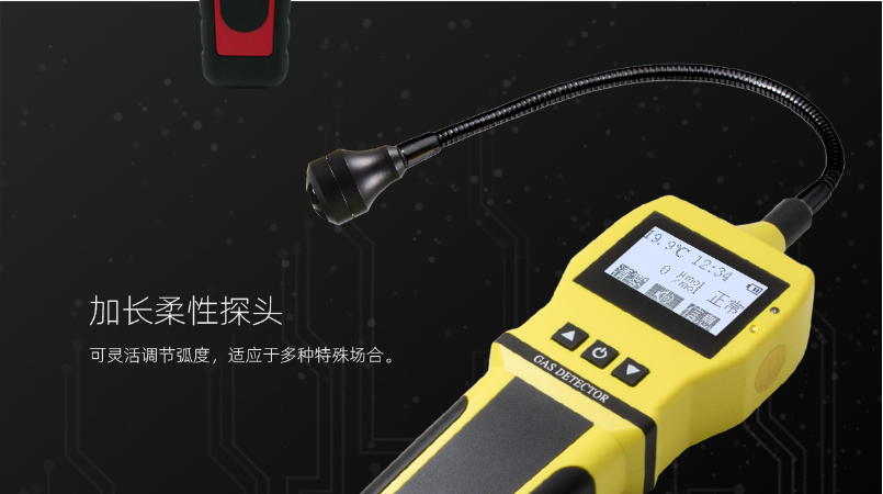 BH-90(EX)便携式可燃气体检漏仪柔性探头