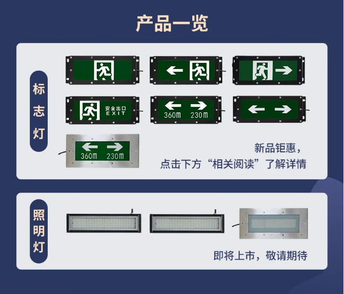 海湾IP65系列高防护灯具产品