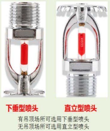 图7