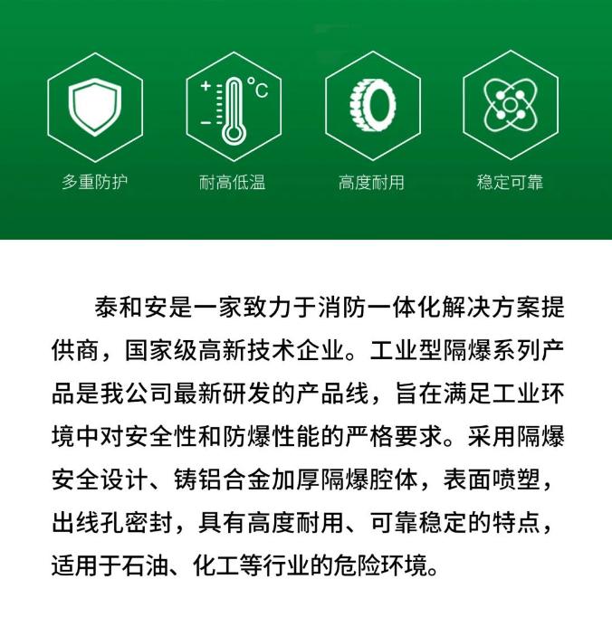 泰和安工业型隔爆系列产品上市
