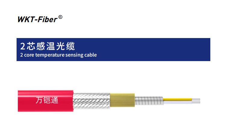 2芯感温光纤外观