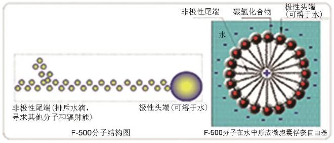 F-500分子结构、球形微胞图