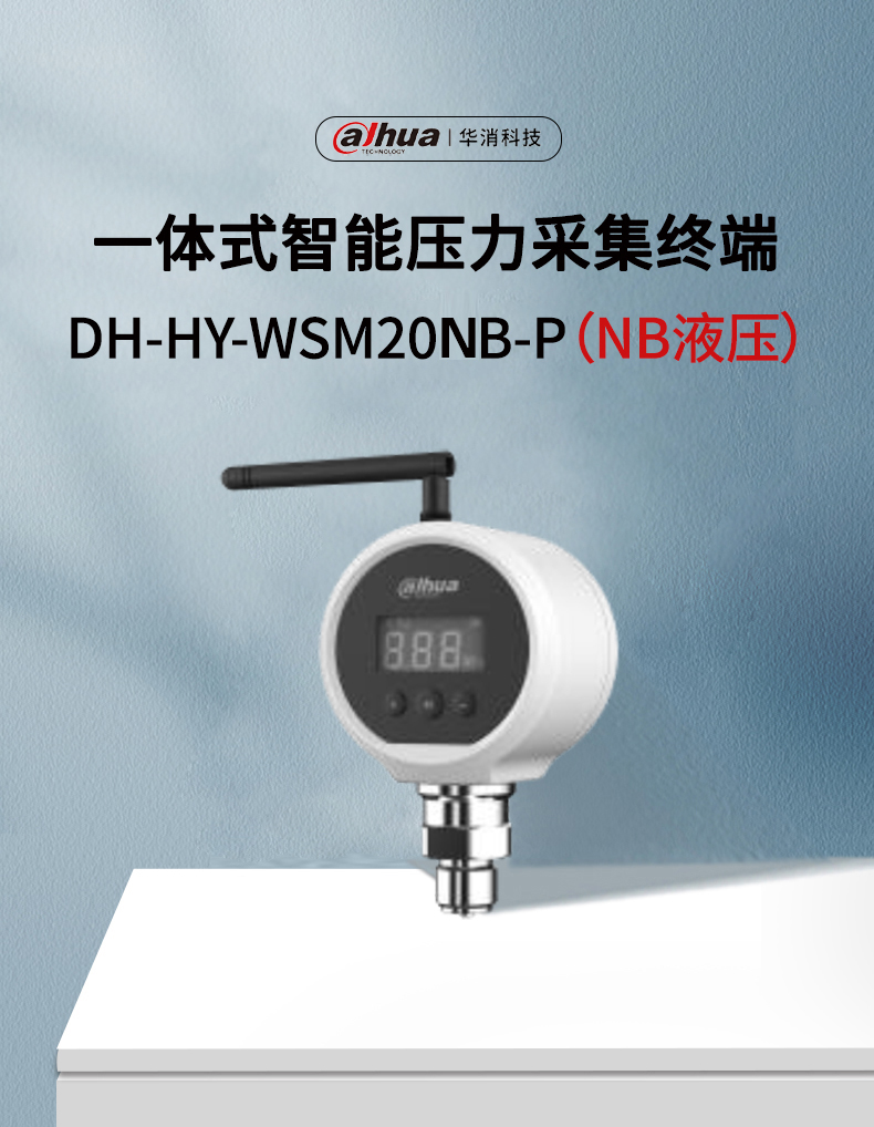 DH-HY-WSM20NB-P一体式智能压力采集终端产品展示